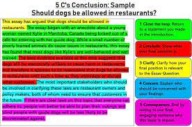 17 essay conclusion exles copy and