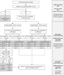 Proposed Diagnostic Flow Chart For Carbapenemase Detection