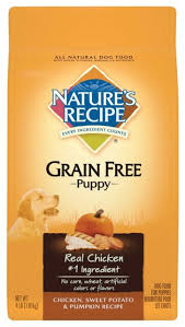 Natures Recipe Grain Chicken Sweet Potato Pumpkin Dry Puppy Food 4lbs