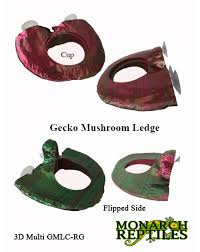 3d gecko mushroom deli cup single