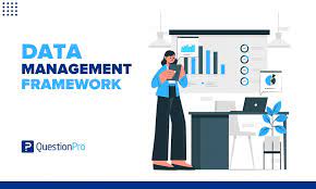 data management framework what is it