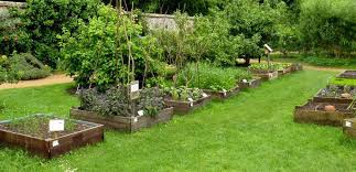 how to build raised garden beds on your