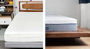 showdown novosbed vs purple mattress