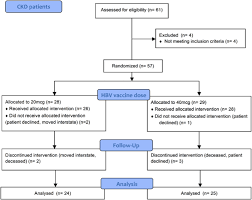 Flow Chart Of Enrolment Of Ckd Patients And Randomization To