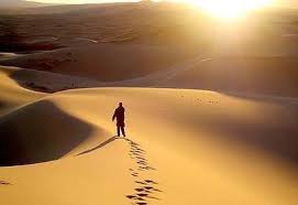 Afbeeldingsresultaat voor footprints in the desert