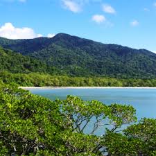 things to do in port douglas daintree