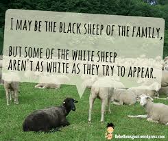 Explore our collection of motivational and famous quotes by authors you black sheep quotes. Quote Of The Day 6 Black Sheep Rebellious Scapegoat