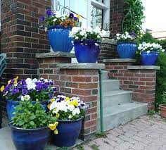colour story blue flower pots