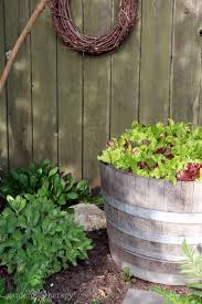 How To Grow Plants In A Wine Barrel