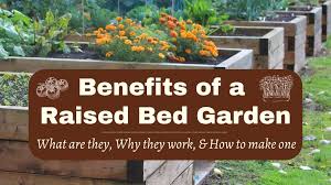 Benefits Of A Raised Bed Garden