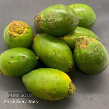fresh betel nut aka areca n or pinang
