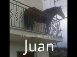 Download transparent meme png for free on pngkey.com. Juan Meme Original Juan Horse On Balcony Know Your Meme