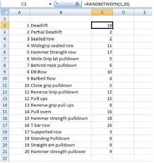 bodybuilding and microsoft excel part 2