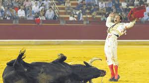 Fiestas del Pilar 2022: Feria del Pilar: Sospetillo, de El Pilar, un toro  bravo de verdad