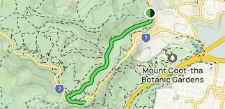 mount coot tha summit trail 491