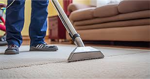 carpet cleaning services in petersfield