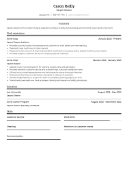 carpet cleaner resume exles and