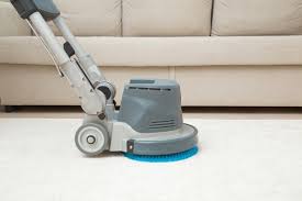 will carpet cleaning prevent pests