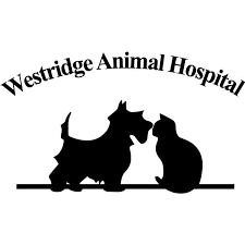 When choosing a veterinarian for your family's pet, having a clinic that is up to date on the latest innovations in the. Veterinarians In Texarkana Texas Texas Last Updated August 2021 Top Rated Local