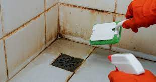 Kill Bathroom Mould Without Bleach