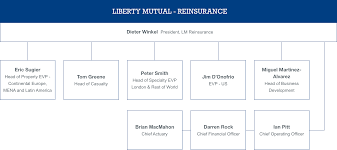 Liberty Mutual Reinsurance Liberty Specialty Markets