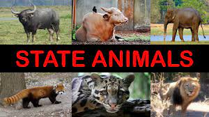 Table of contents animals names in hindi (जानवरों के नाम) farm animal name in hindi and english (फार्म पशु क़े नाम) State Animals Indian States Animals Indian State Animal Names Youtube