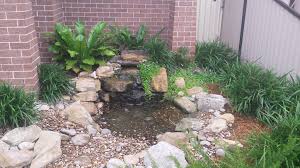 Water Features And Native Plants