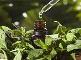 Mentha Oil Prices Mentha Oil Falls On Muted Spot Demand
