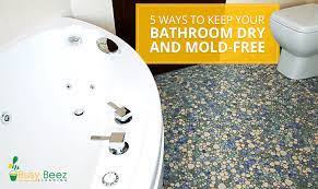 your bathroom dry and mold free
