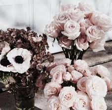 Be creative with your flower antics. If The Color Dusty Rose Was A Planet We D All Happily Settle There For The Rest Of Our Lives Pretty Flowers Beautiful Flowers Flowers