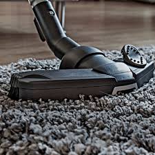 top 10 best carpet cleaning in delmar