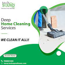 sofa carpet cleaning services