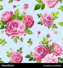 rose flowers royalty free vector image