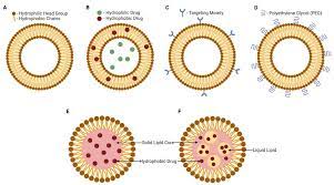 lipid nanoparticles