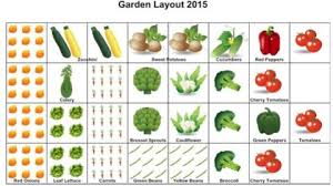 Here S My 4x8 Garden Plan