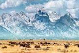 Cheap Flights to Wyoming