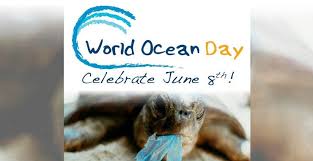 Questa data è l'occasione per riflettere sui benefici che gli oceani sono in grado di fornirci. Giornata Mondiale Degli Oceani Prevenire L Inquinamento Della Plastica