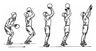 standardized action mode of basketball
