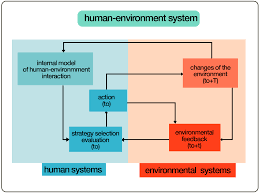human environment framework graphics