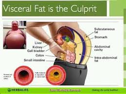 Herbalife Nutrition At Its Best Body Fat