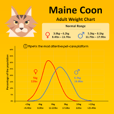 maine weight chart 11pets