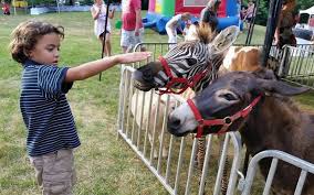 Our animals are great for all occasions, birthday parties, festivals, church events, grand openings, fundraisers, live nativities, libraries, schools, preschools, and company picnics. Sam S Path Petting Zoo In Hartwell Georgia
