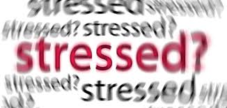 Image result for stress and anxiety