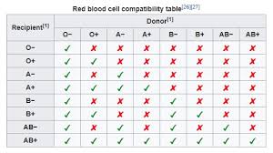 Red Blood Cell Compatibility Table Do You Know Your Type