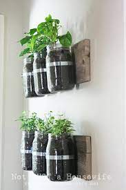 Mason Jar Wall Planter Stacy Risenmay