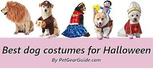 Best Dog Costumes For Halloween Christmas And Parties