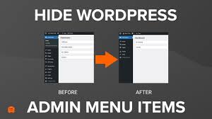 how to hide unnecessary menu items from