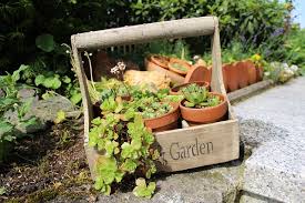 Container Gardening Ideas For Outdoor