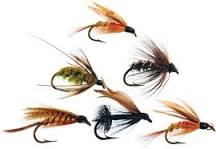 Image result for A wide variety of fishing both from boat or land. Fly fishing or deep sea fishing, we do it all.