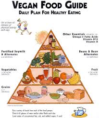 Vegan Food Guide Vegan Food Pyramid Vegan Nutrition